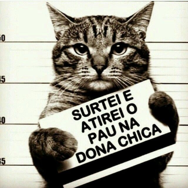 Estamos em 2016??? - 1