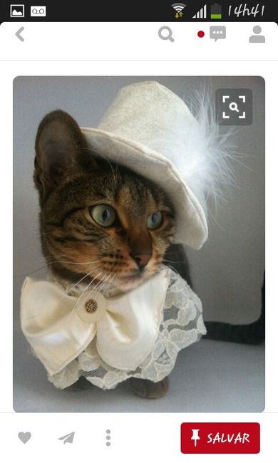 Animais no casamento ! grandes inspirações : - 5