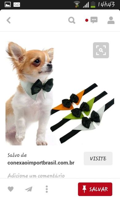 Animais no casamento ! grandes inspirações : - 7