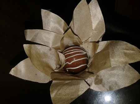 Forminhas dy - 3