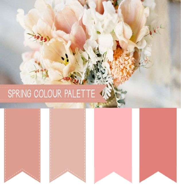 Paleta de Cores Rosa
