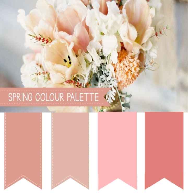 Paleta de Cores Rosa