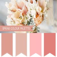 Paleta de Cores Rosa