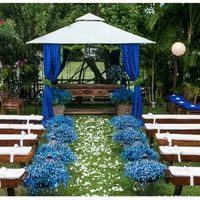 Sem o famoso tapete azul apenas o verde das folhas e flores azul