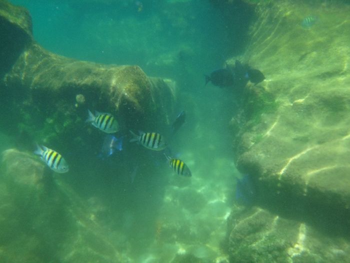 Xel Ha