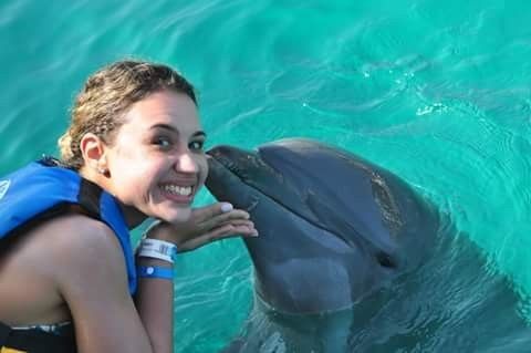 Dolphin Discovery