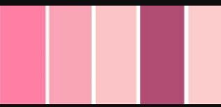 Minhas madrinhas serão na cor rose 😍 - 1