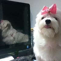 Ganhei o melhor presente. - 1