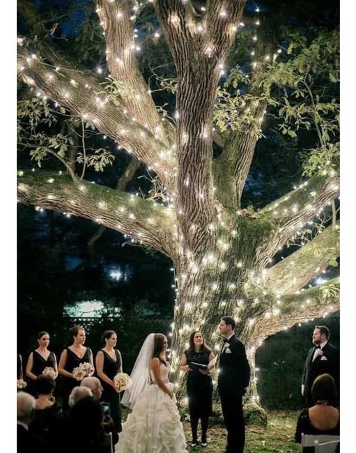 A decoração do meu casamento irlene - 4