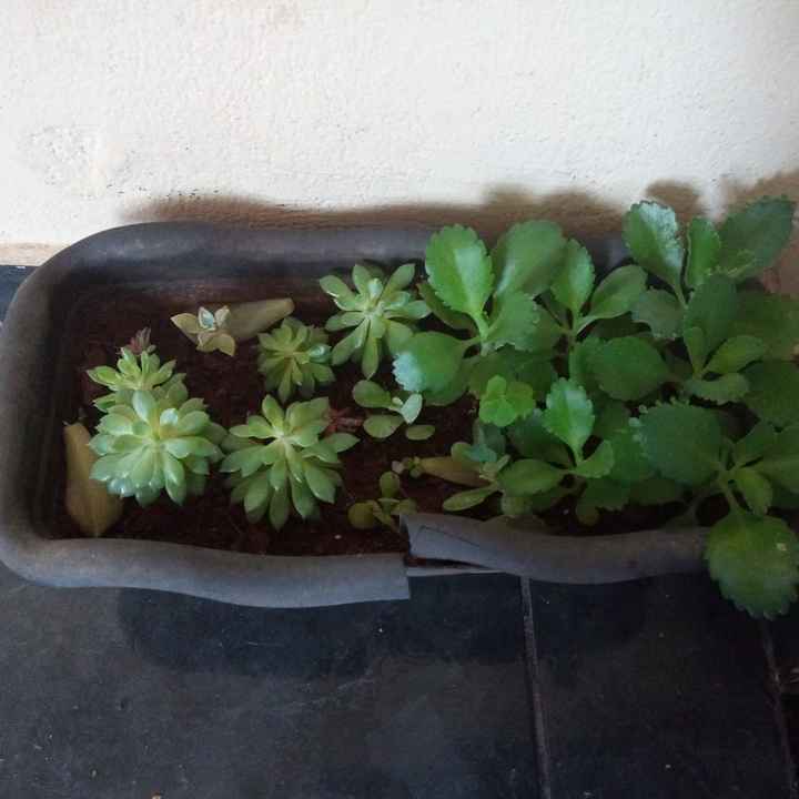 Centros de mesa em produção  #diy #vemver - 1