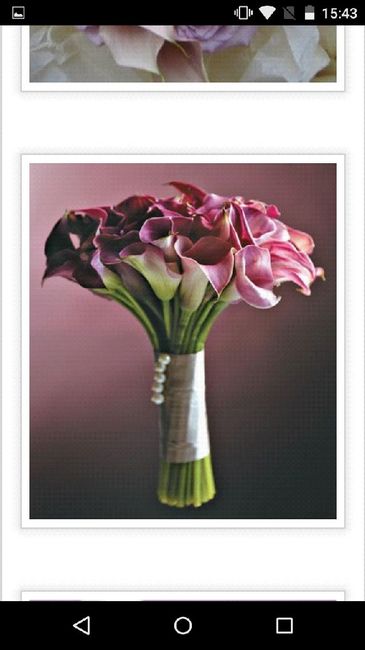 Help me ...cor do bouquet×decoraçao - 1