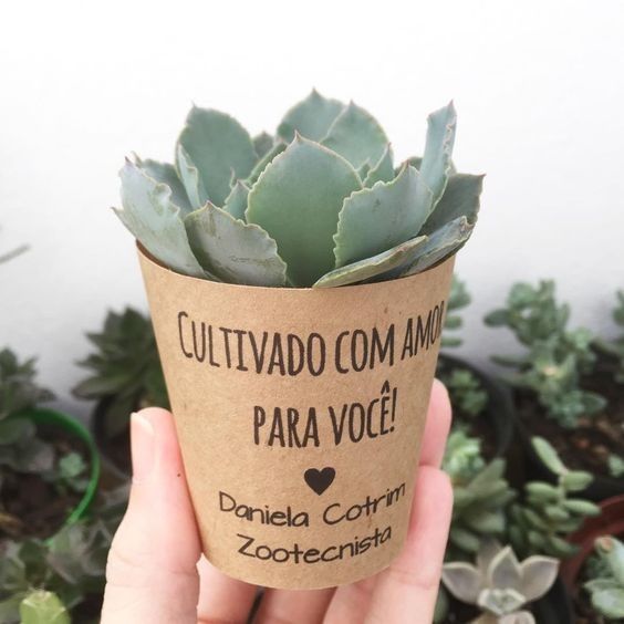 Plantinha como Lembrança