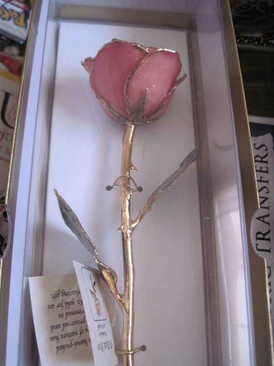 Rosa para lembrança
