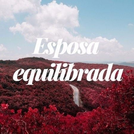 Eu escolhi a Letra C, pois ela e bem mais proxima do que eu realmente sou!