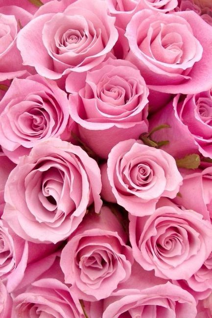 Foi com varias tonalidades de Rosas