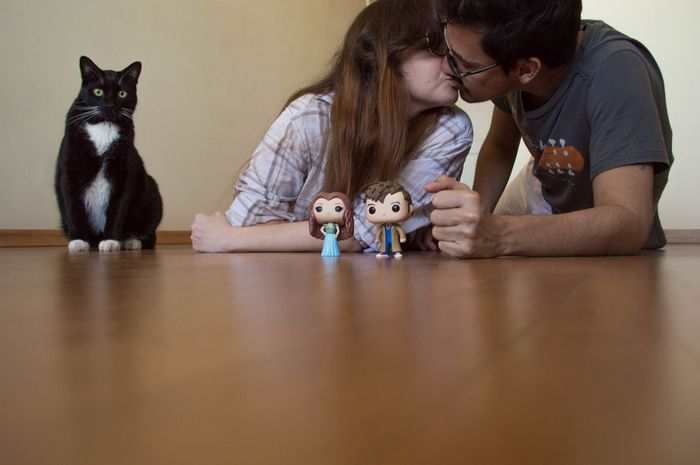 Mais participação felina