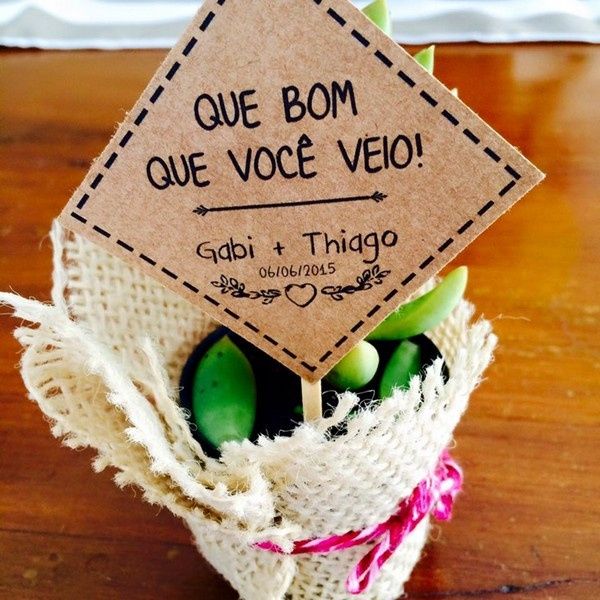 Suculentas