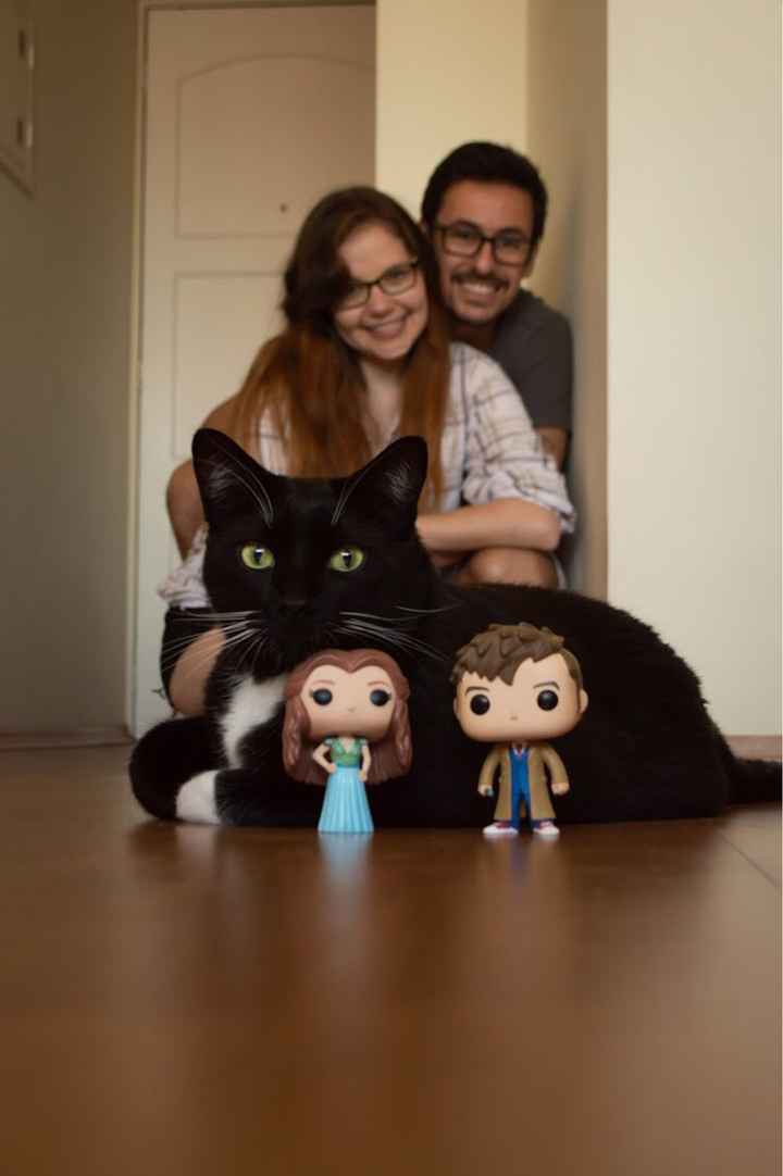 Pets - 3