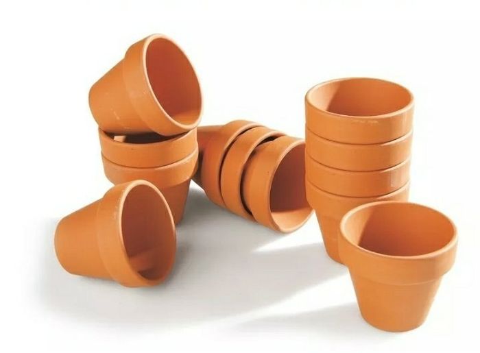 Vaso para suculentas - 2