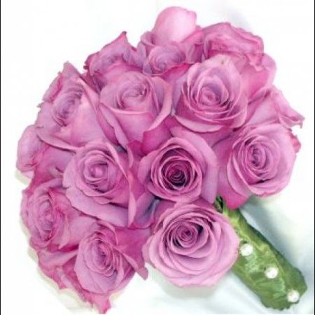 Buque lilas