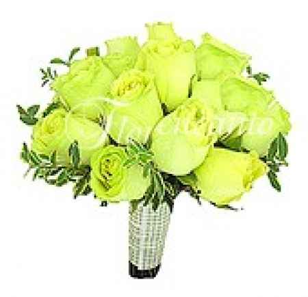 Buque verde