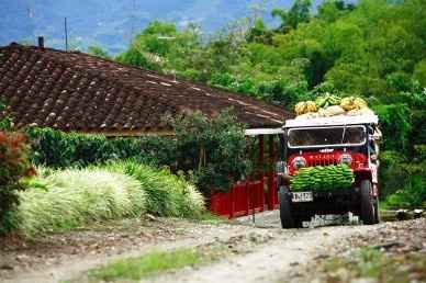 8) El eje cafetero