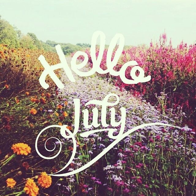 Olá, bom dia julho!