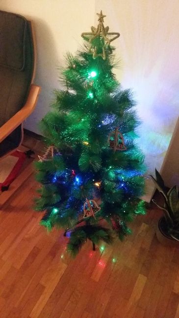 Quem já decorou a casinha para o Natal? 