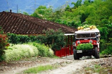 8) El eje cafetero