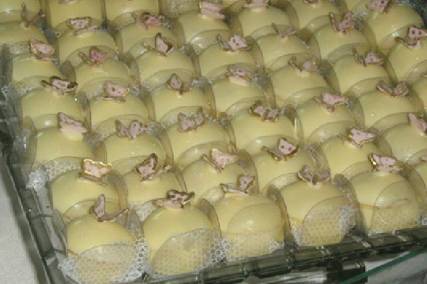 Doces finos