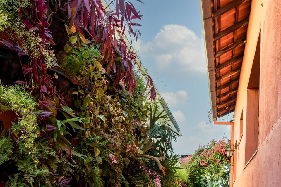 Casa Aurélia