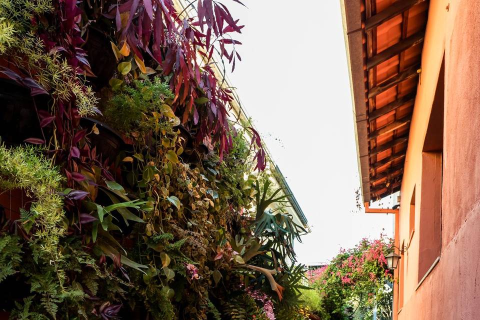 Casa Aurélia