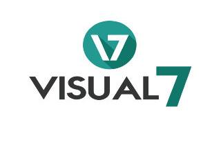 Visual 7
