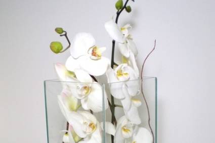 Vaso de vidro com orquídeas