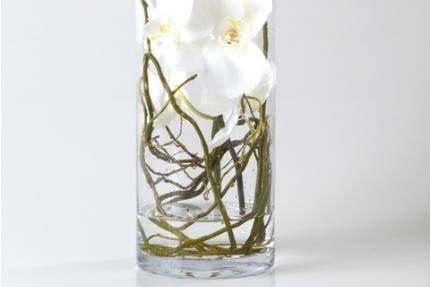 Arranjo com orquídeas e galhos