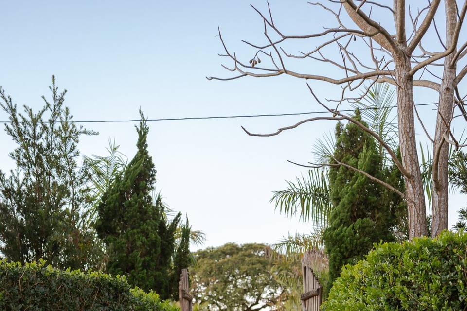 Ensaio pré wedding