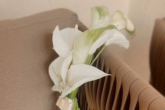 @Flavianicrisolidecor