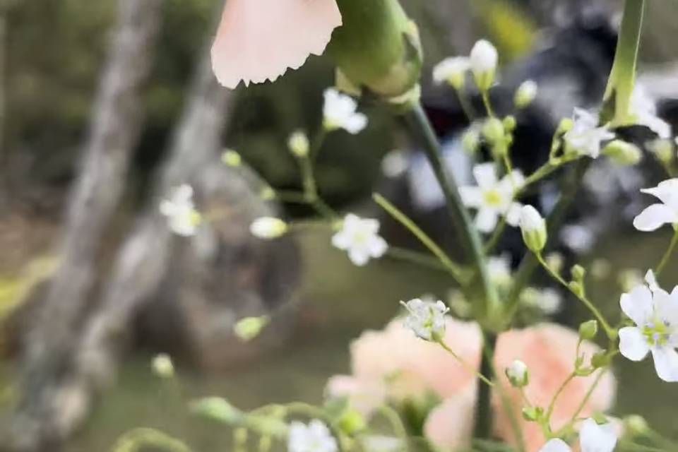 Arranjo de flores naturais