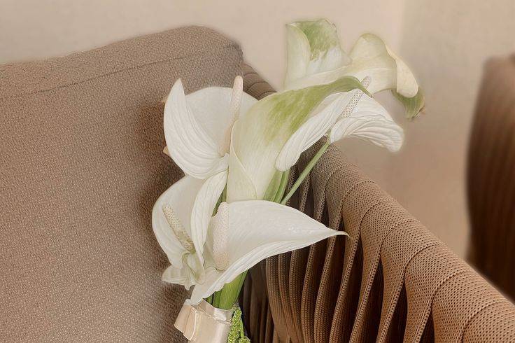 Flaviani Concept