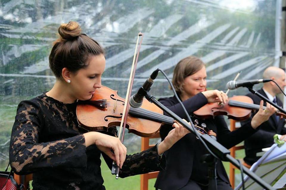 Dois violinos e piano