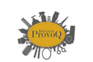 ProvoQ logo