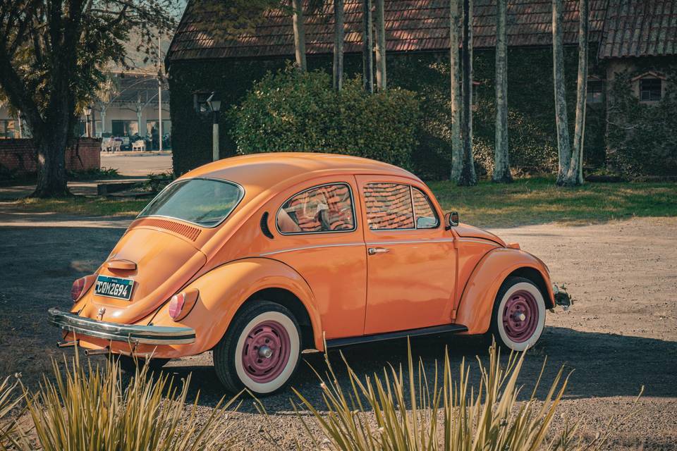 Fusca 1974