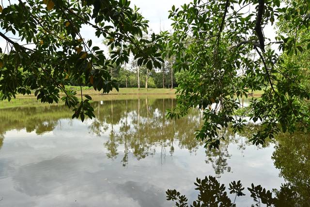 Lago hotel
