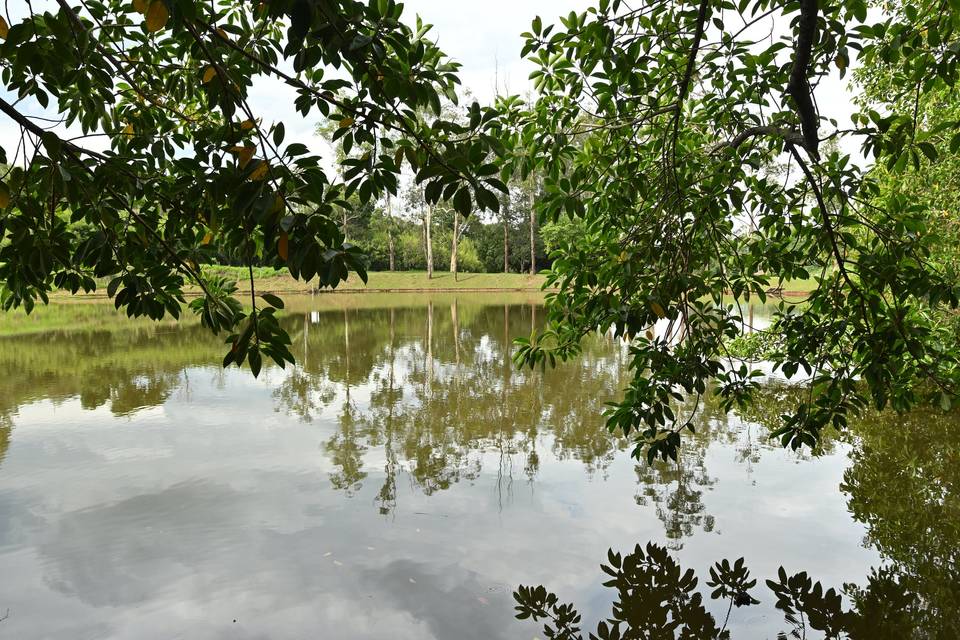 Lago hotel