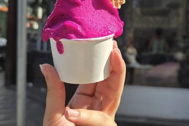 Casa Crema | Gelato Artesanal