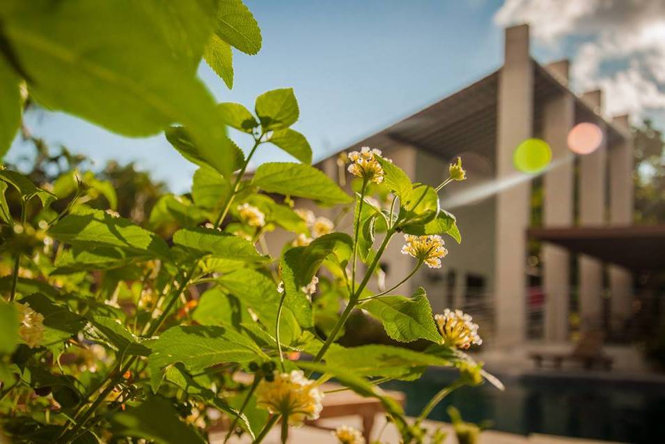 Jardins do Solar