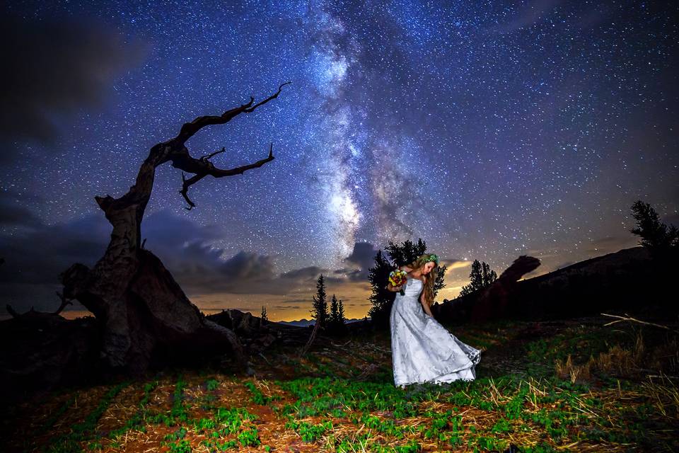 Trash the dress
