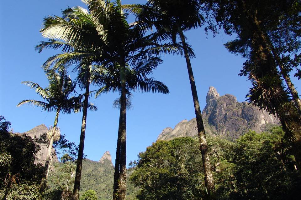 Vista para o Dedo de Deus