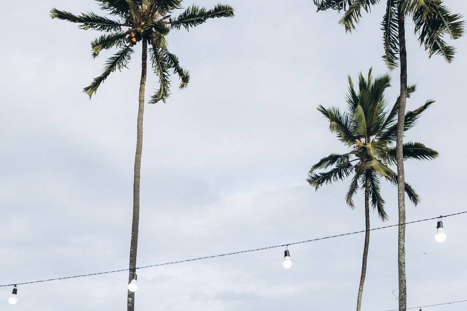 Amor à beira mar