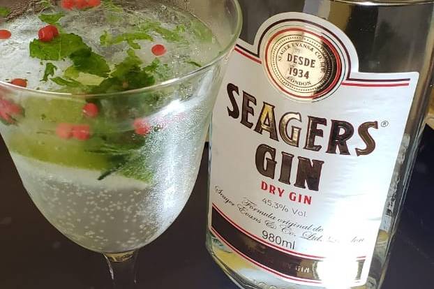 Gin Tônica com especiarias